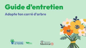Guide d'entretien adopte ton carré d'arbre