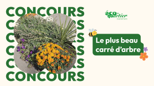 Blogue_Concours_ATCA_2026