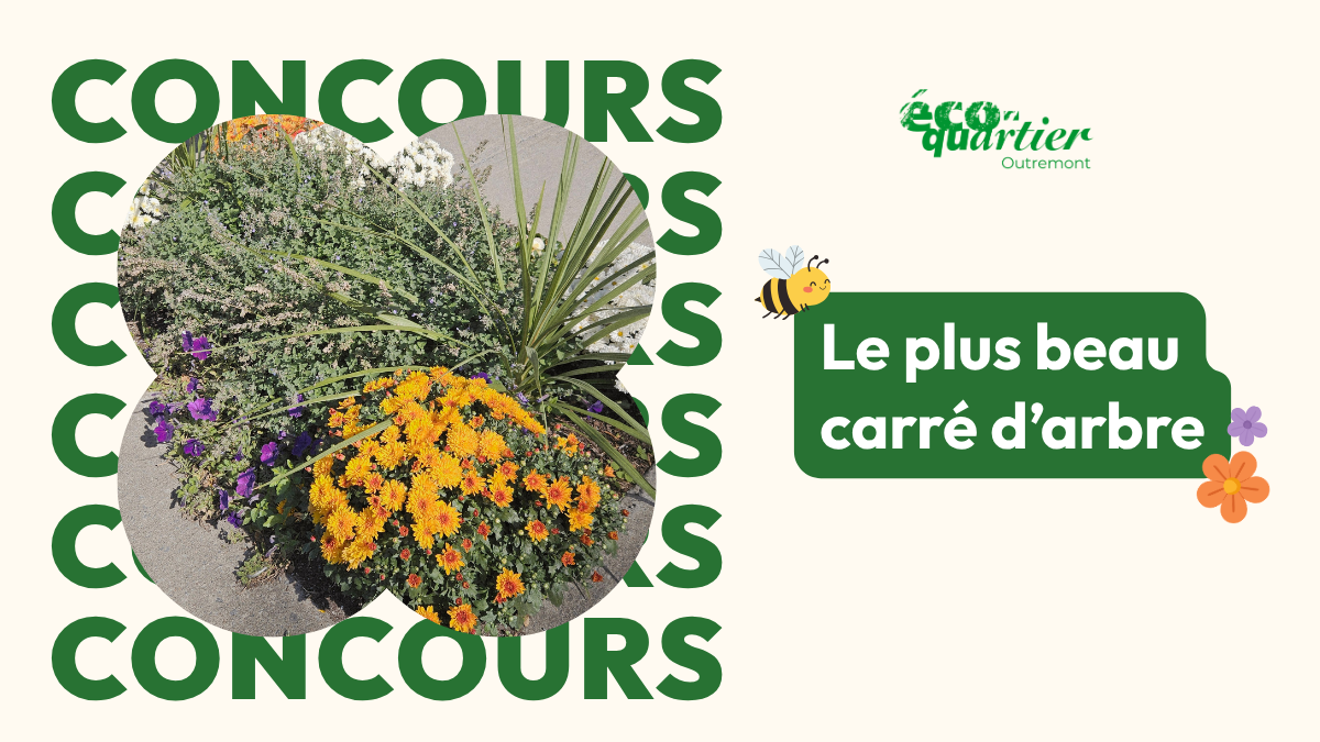 Blogue_Concours_ATCA_2026